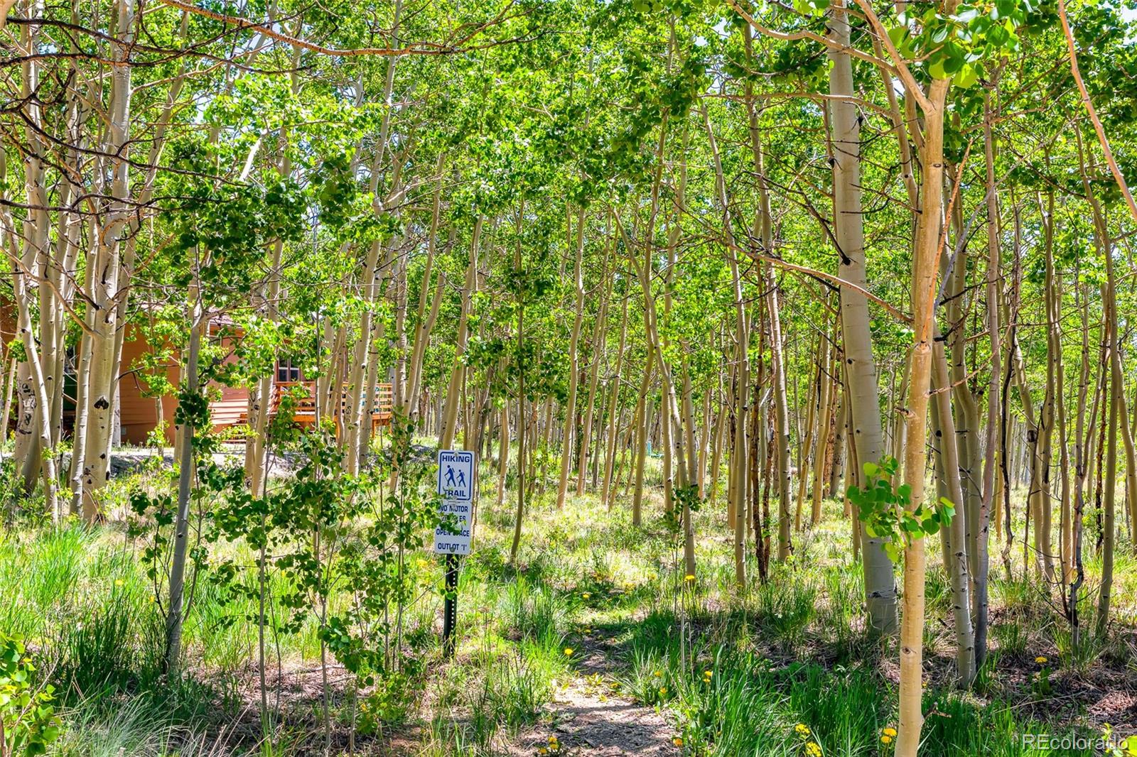 2436 High Creek Road Fairplay, CO 80440 - Photo 12 of 50