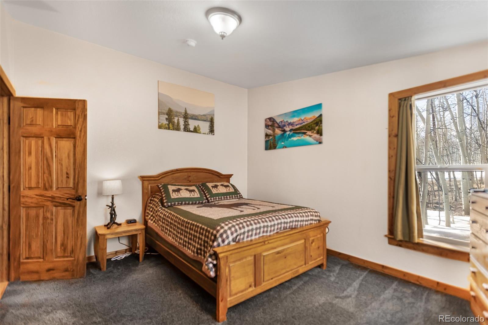 2436 High Creek Road Fairplay, CO 80440 - Photo 35 of 50