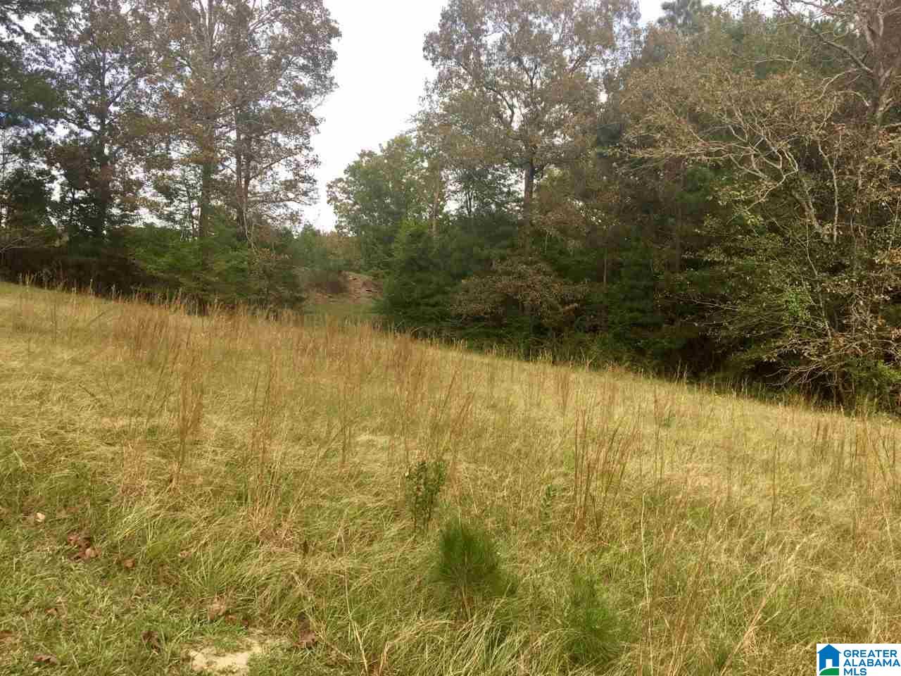 Serene Lake Road, Unit 8471 McCalla, AL 35111 - Photo 28 of 30