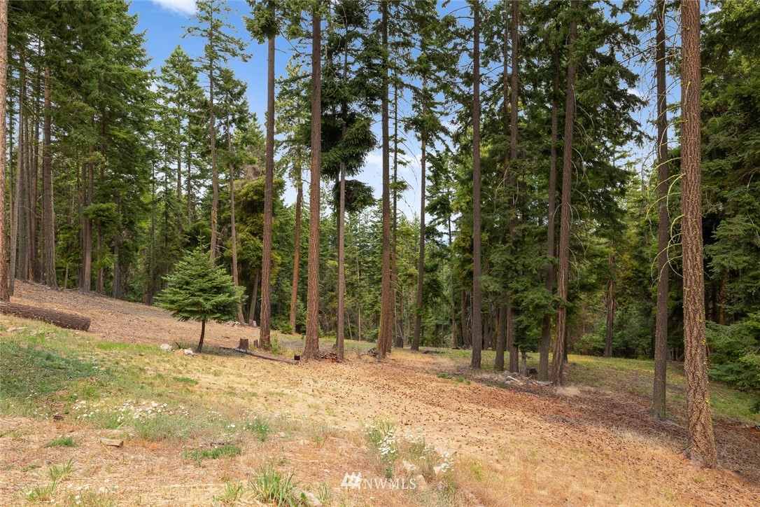 23 Grange Springs Road Cle Elum, WA 98922 - Photo 33 of 38 Gallery Image 33