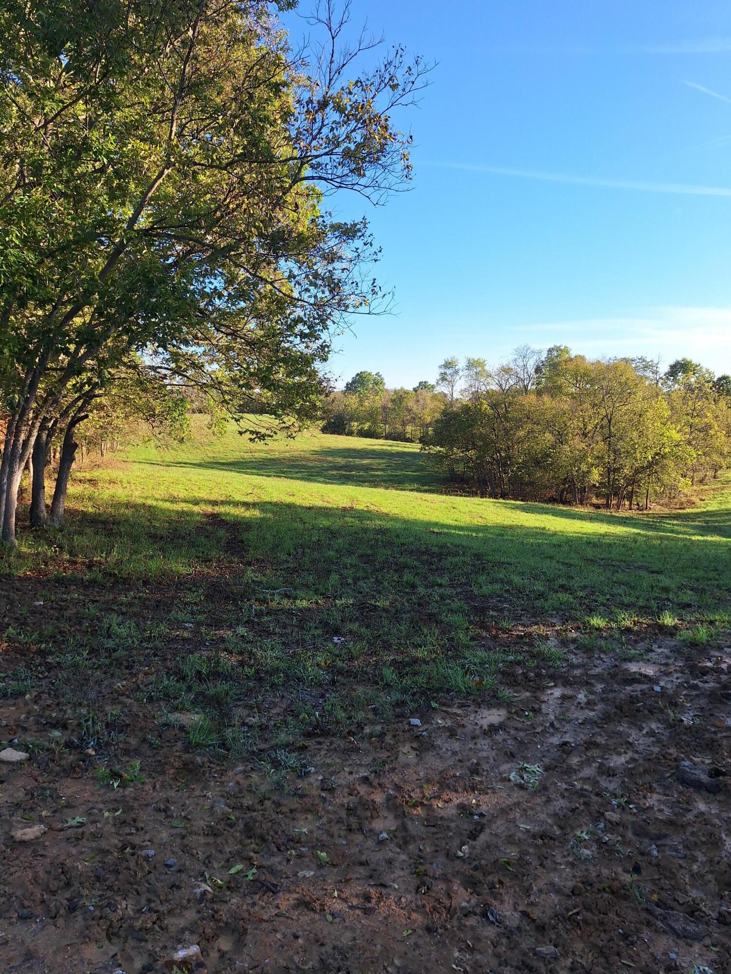 0 Casey Mill Road Berry, KY 41003 - Photo 8 of 28 Gallery Image 8