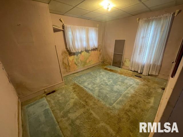 715 North 2nd Street Chillicothe, IL 61523 - Photo 23 of 53