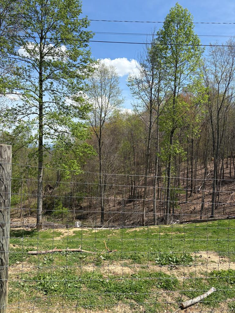 3327 Horton Ridge Road Swords Creek, VA 24649 - Photo 9 of 27 Gallery Image 9