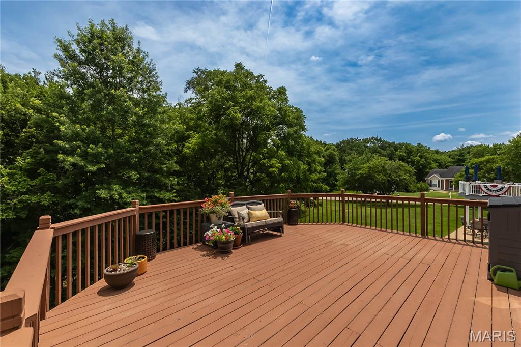 932 Cleta Drive Ballwin, MO 63021 - Photo 22 of 54
