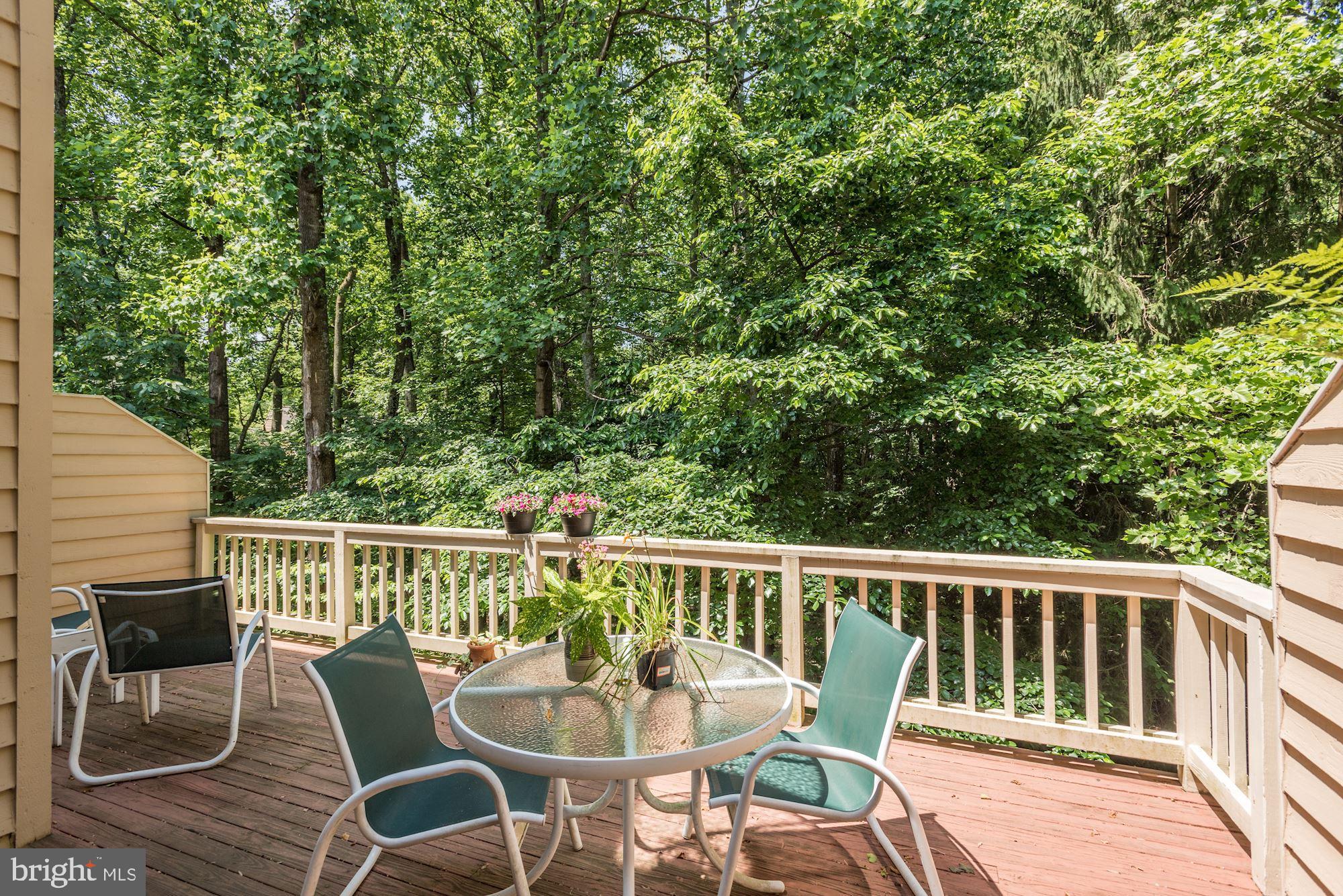 11529 Hemingway Drive Reston, VA 20194 - Photo 17 of 70 Gallery Image 17