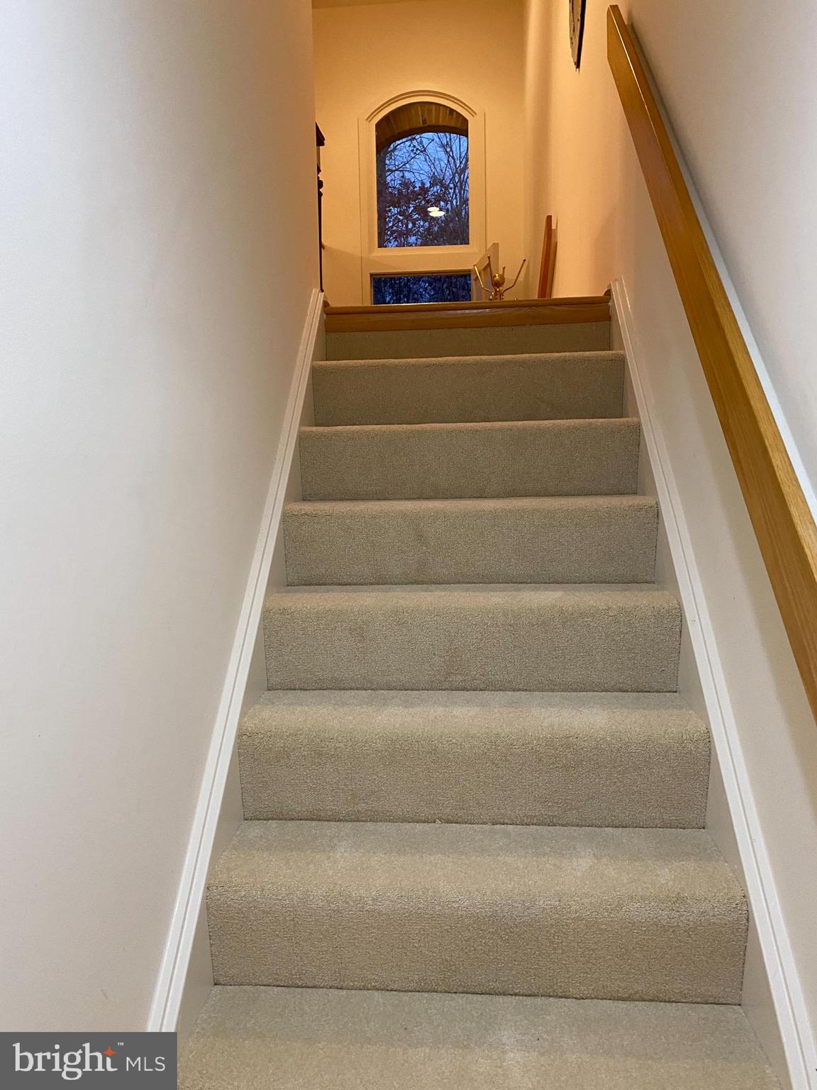 11529 Hemingway Drive Reston, VA 20194 - Photo 53 of 70 Gallery Image 53