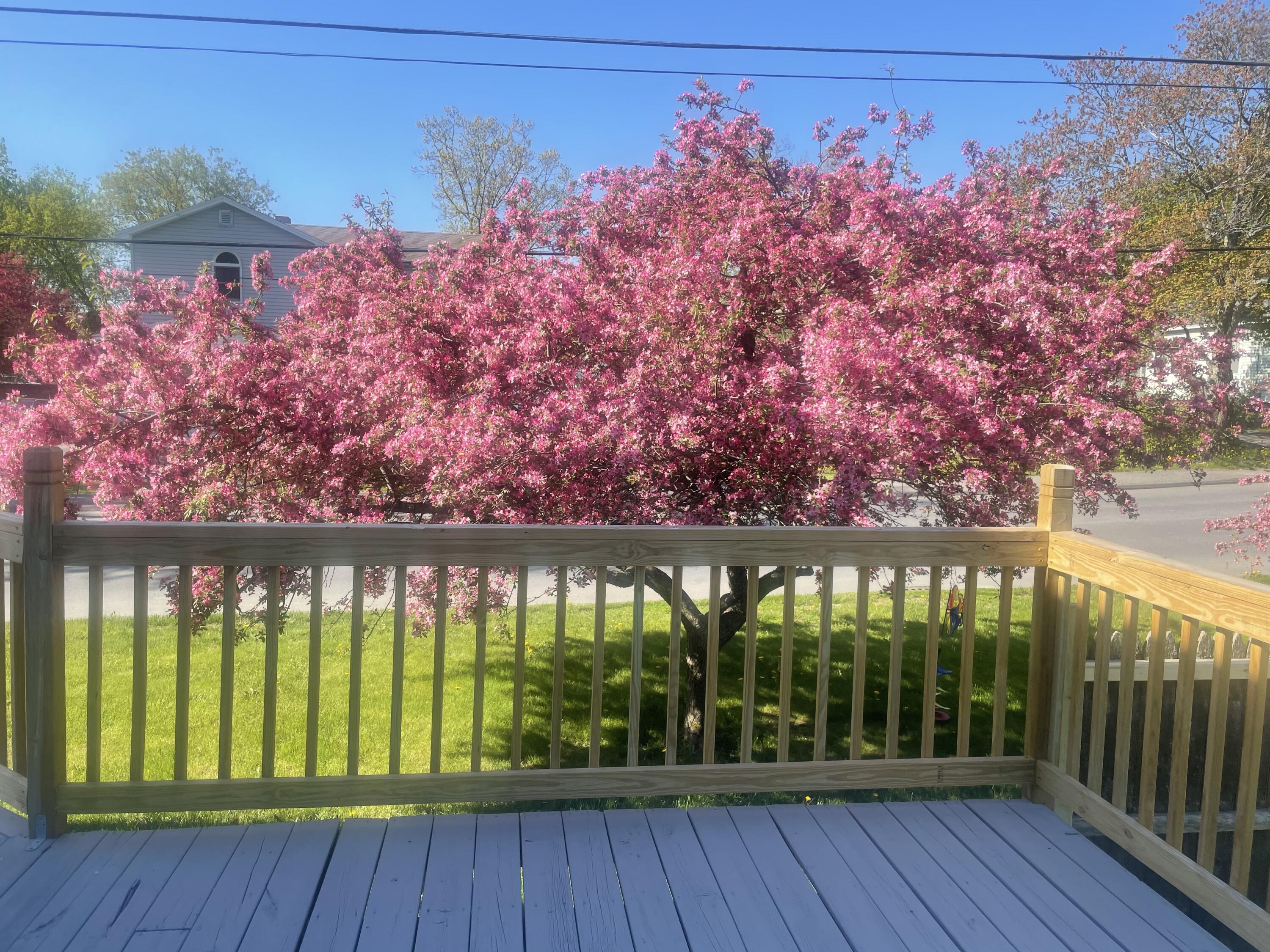 47 Oak Street Waterville, ME 04901 - Photo 24 of 25 Off porch