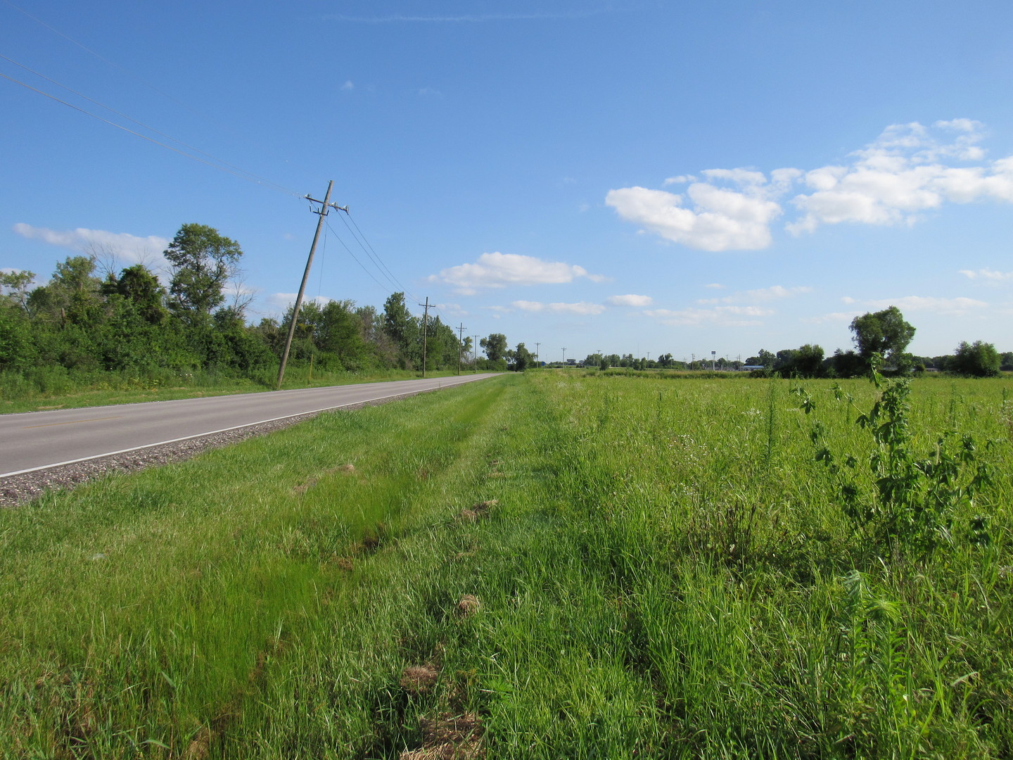 26125 West Kennedy Road Braceville, IL 60407 - Photo 11 of 14