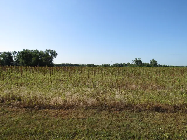 a view of a basketball court