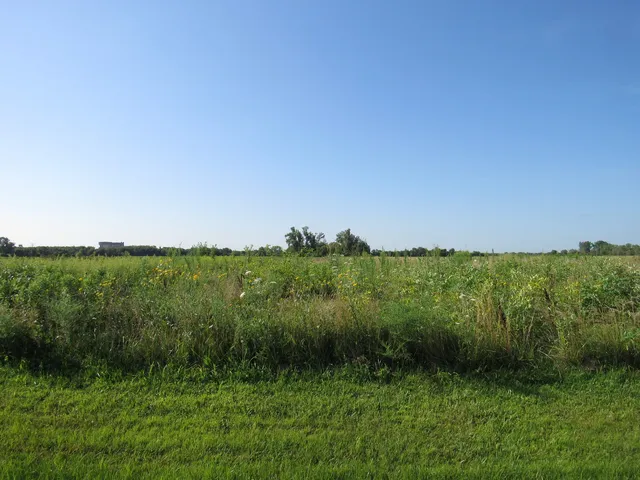 $5,000,000 | 26125 West Kennedy Road, Braceville, IL 60407