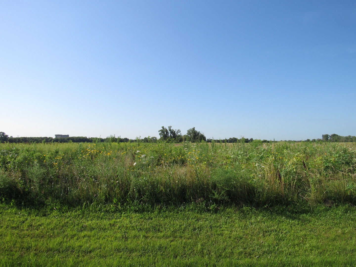 26125 West Kennedy Road Braceville, IL 60407 - Photo 14 of 14