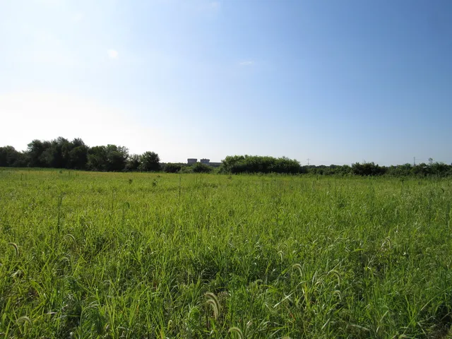 a view of a lake with a big yard