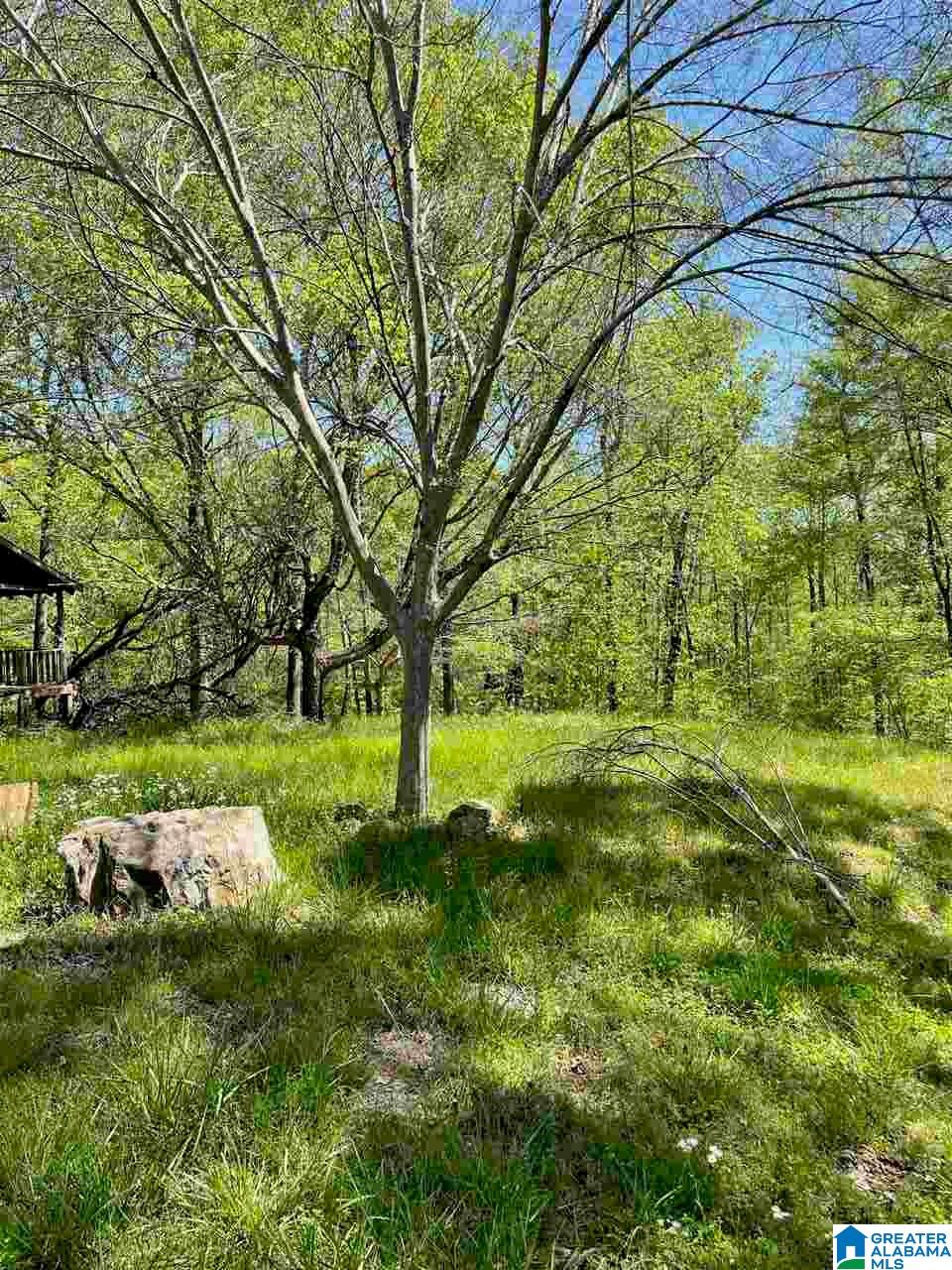 499 Greensport Road Ohatchee, AL 36271 - Photo 8 of 12