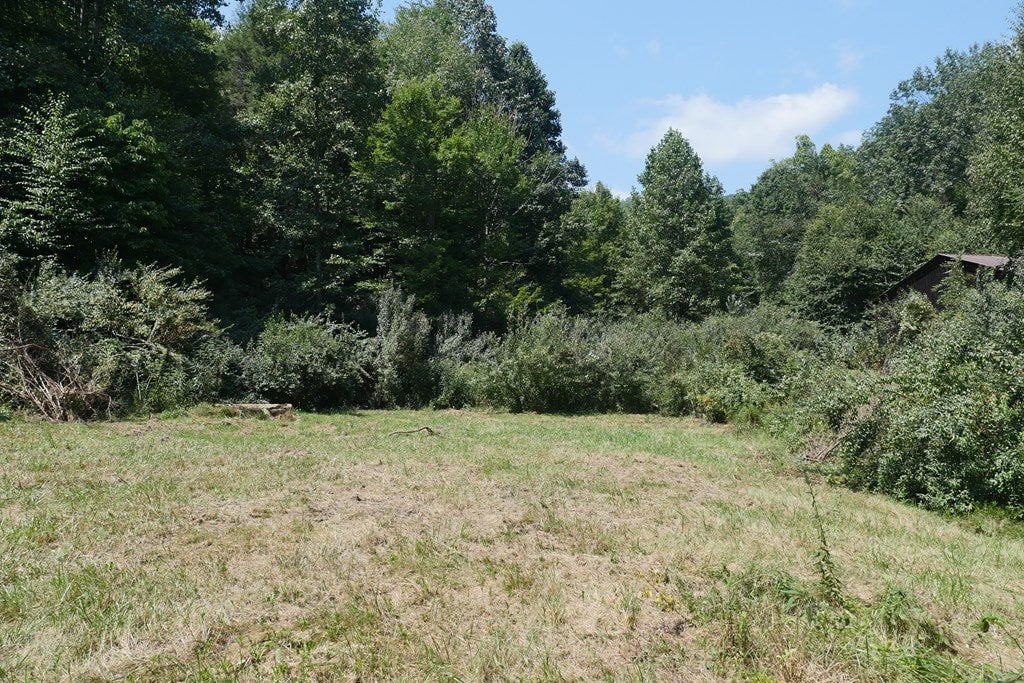 12246 Hunters Valley W Road Duffield, VA 24244 - Photo 16 of 20 Gallery Image 16