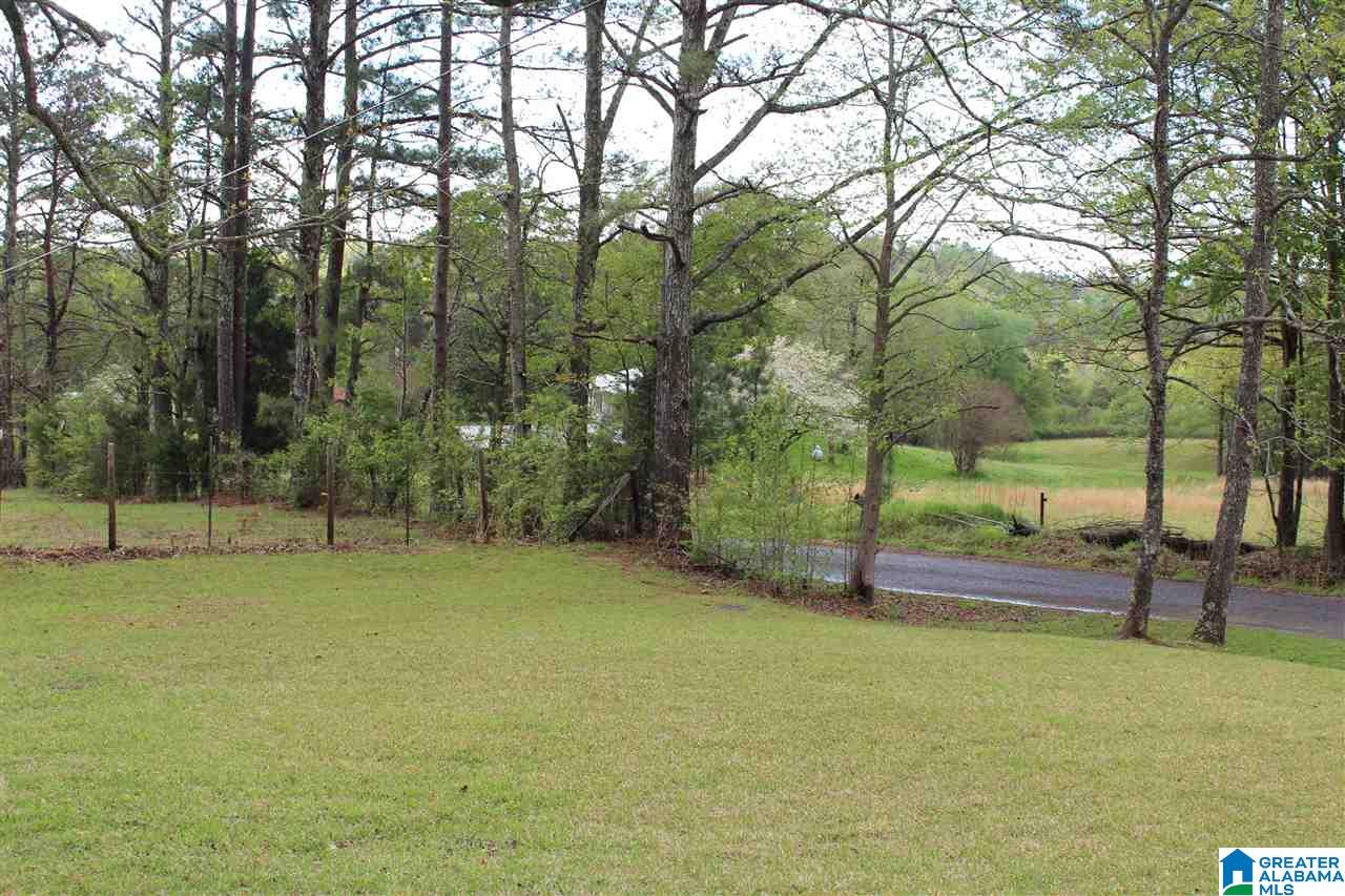 760 McCay Road Locust Fork, AL 35097 - Photo 3 of 27