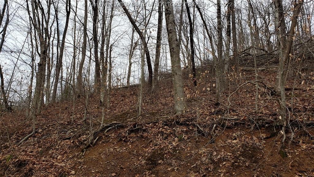0 Surveyor Creek Road Lester, WV 25865 - Photo 13 of 22 Gallery Image 13