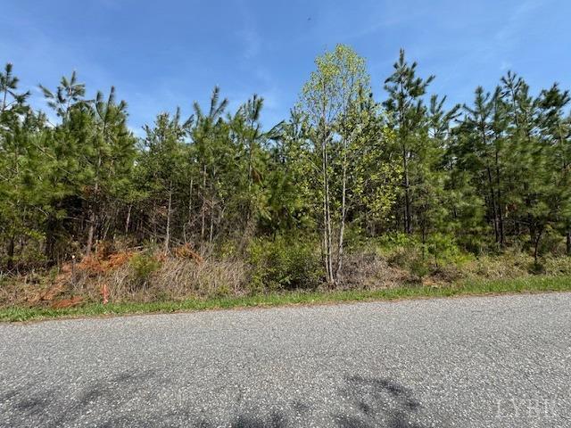 2 Stage Road Concord, VA 24538 - Photo 3 of 8 a view of a field with trees in the background