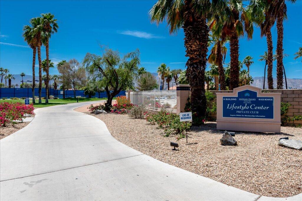 49562 Wayne Street Indio, CA 92201 - Photo 41 of 52 a view of a yard with palm tree