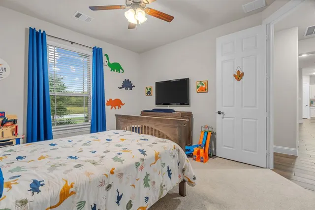 a view of a park with a large tree