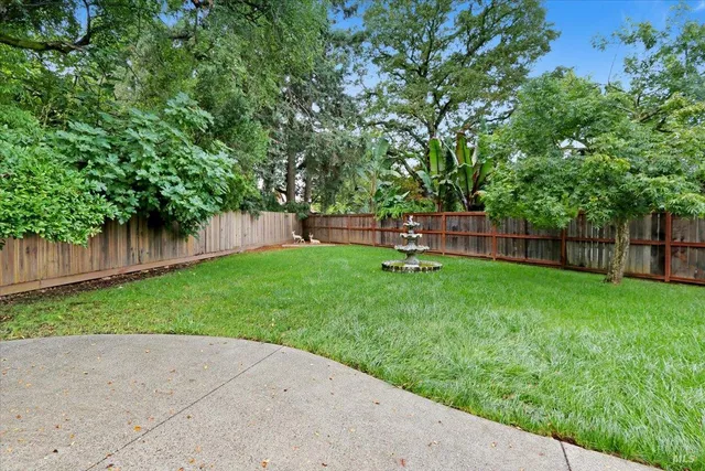 a view of a backyard with large trees