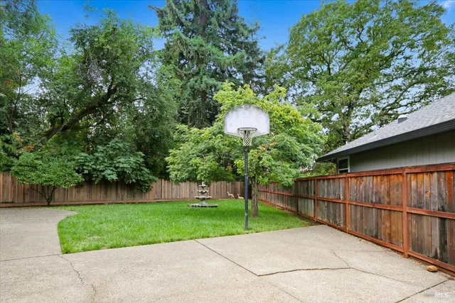a view of a backyard with a plants and trees beside of it
