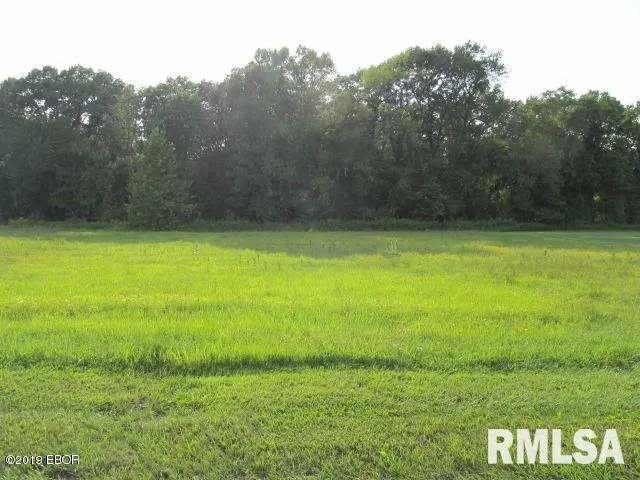 $19,000 | 0 Jefferson Avenue, Unit 22, Mount Vernon, IL 62864