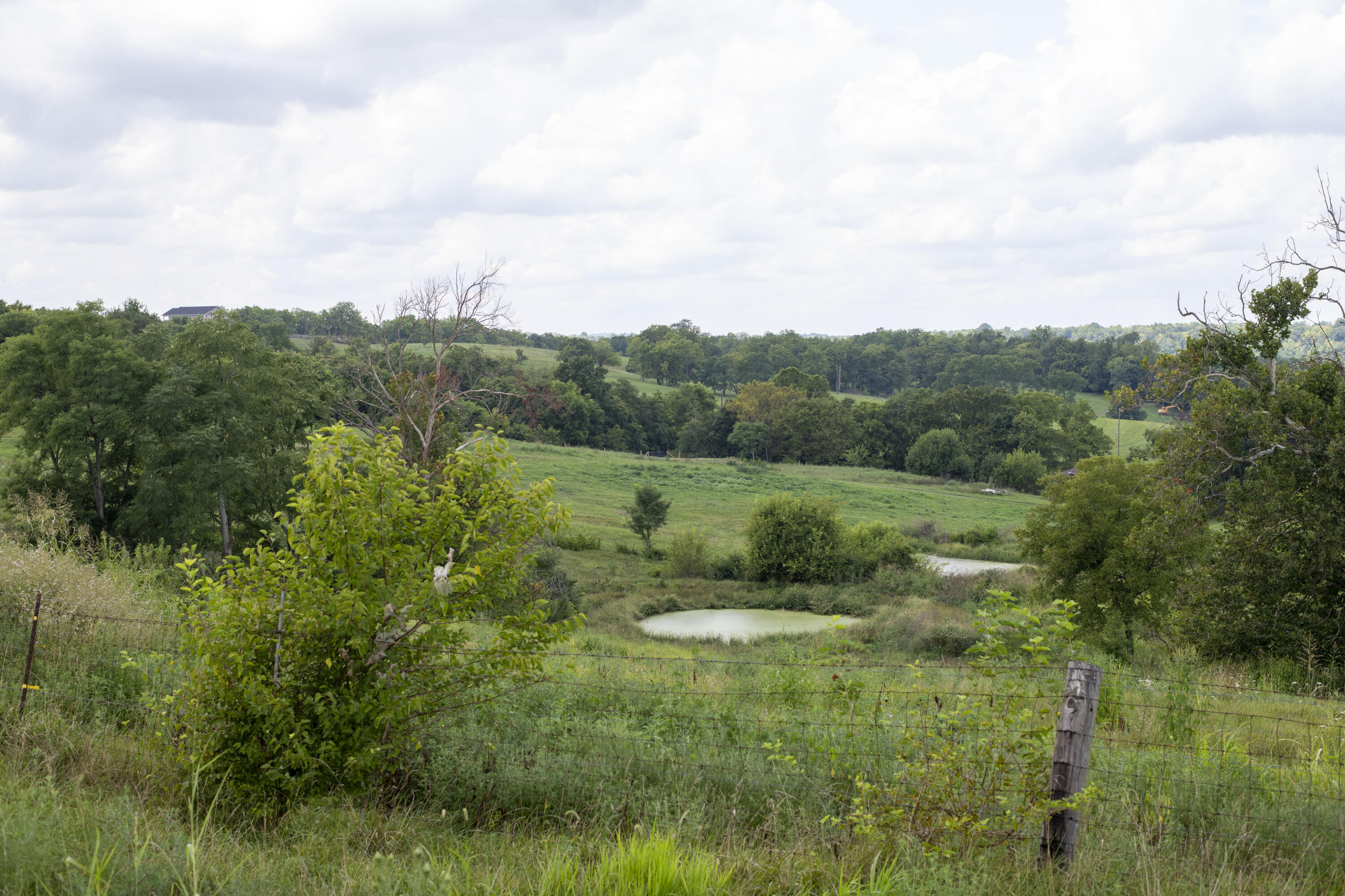 2785 High Bridge Road Wilmore, KY 40390 - Photo 11 of 16 ELand_30