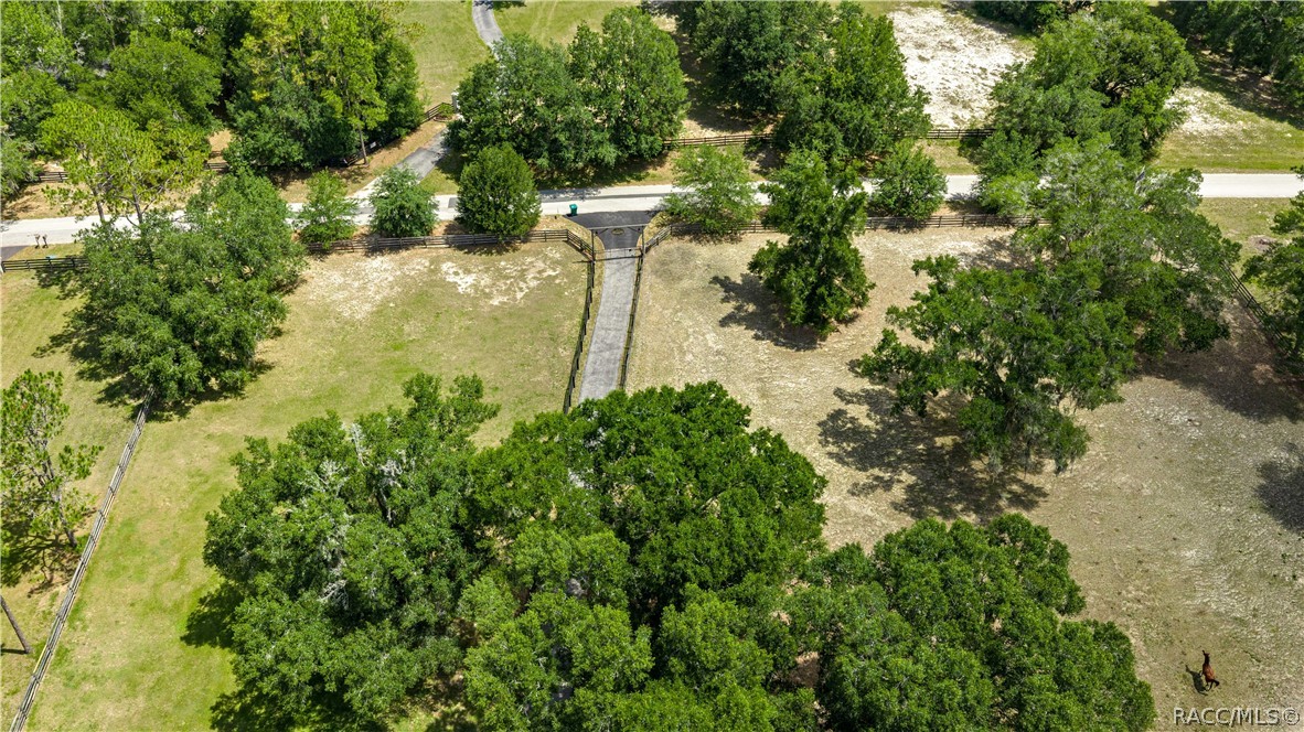 4556 East View Top Lane Inverness, FL 34452 - Photo 63 of 67