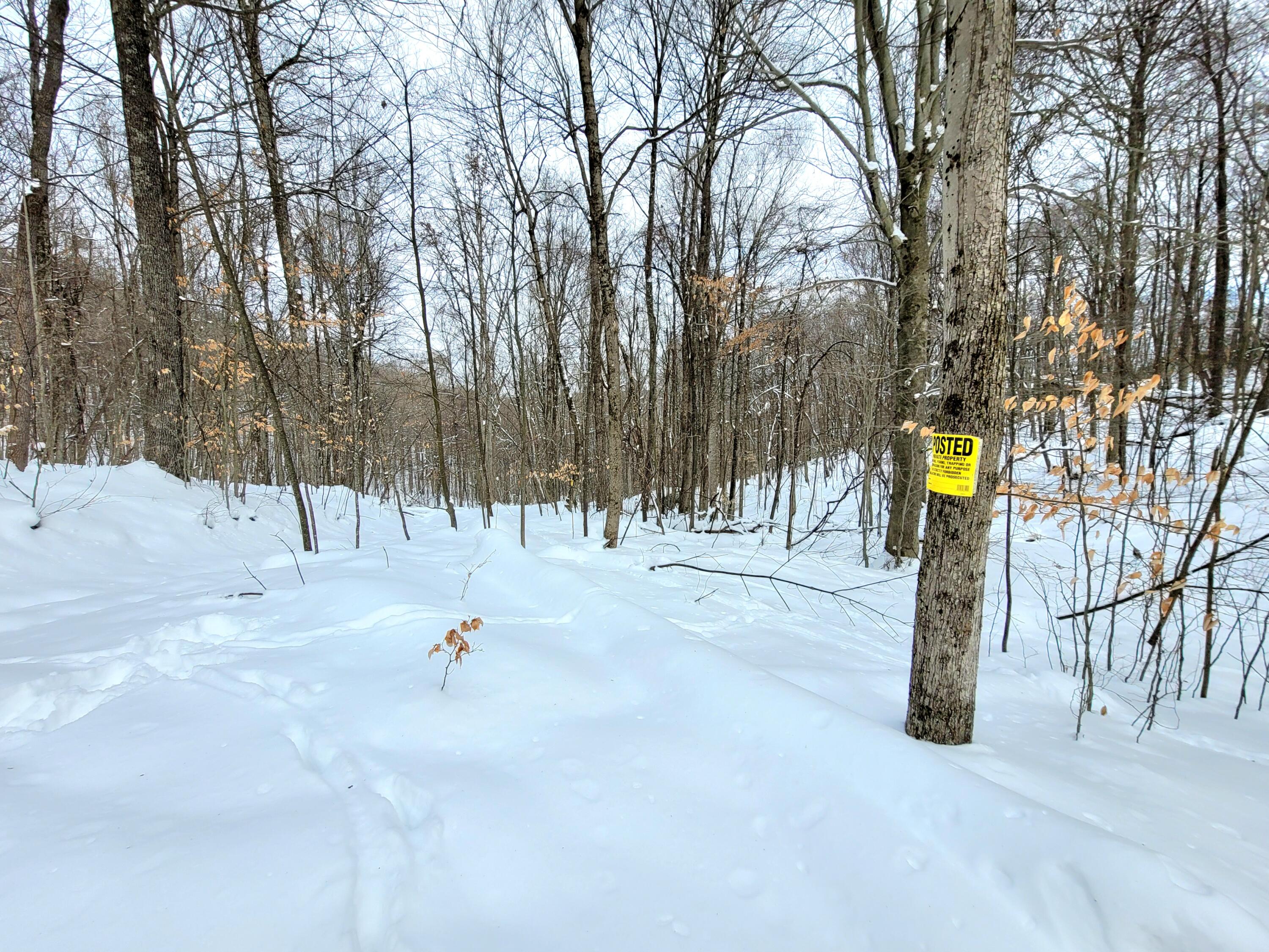 123 Pleasant Ridge Road Clendenin, WV 25045 - Photo 7 of 14 Gallery Image 7