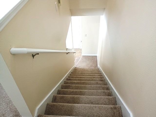 23862 Pebworth Place Spring, TX 77373 - Photo 17 of 20