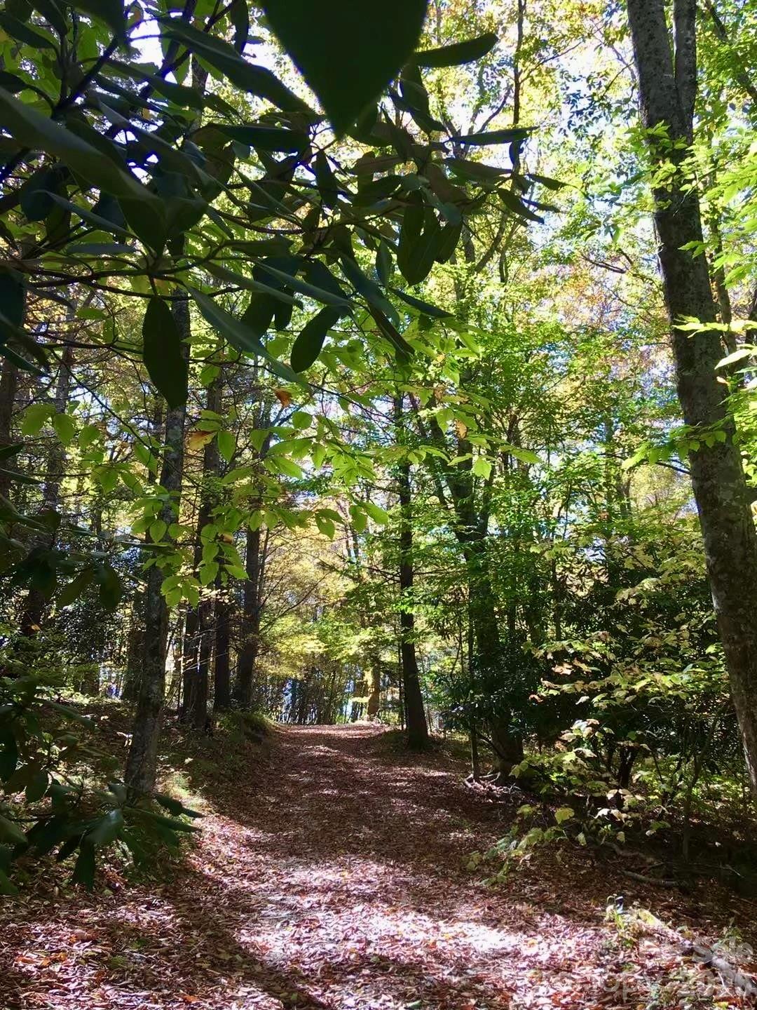 65 Blue Ridge Gem Mine Road Spruce Pine, NC 28777 - Photo 14 of 30