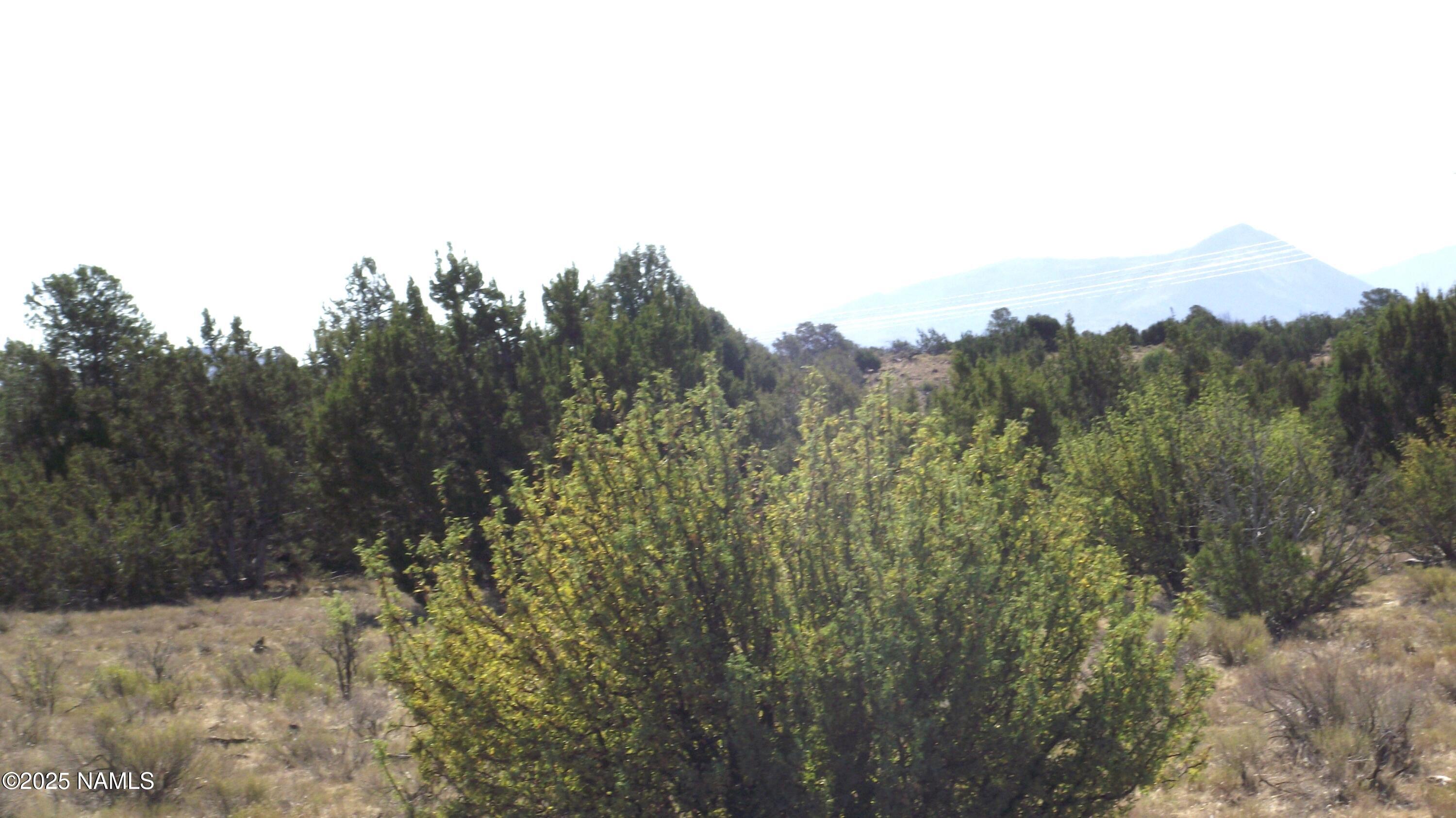 11962 South Mesa View Road Williams, AZ 86046 - Photo 11 of 16 DSCF7630