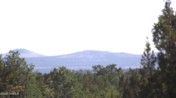 $55,000 | 11962 South Mesa View Road, Williams, AZ 86046