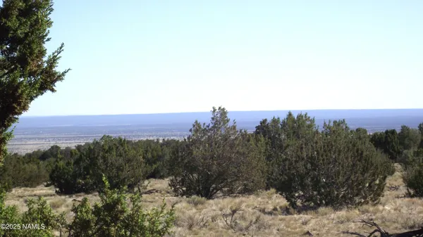 $55,000 | 11962 South Mesa View Road, Williams, AZ 86046