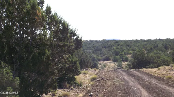 $55,000 | 11962 South Mesa View Road, Williams, AZ 86046