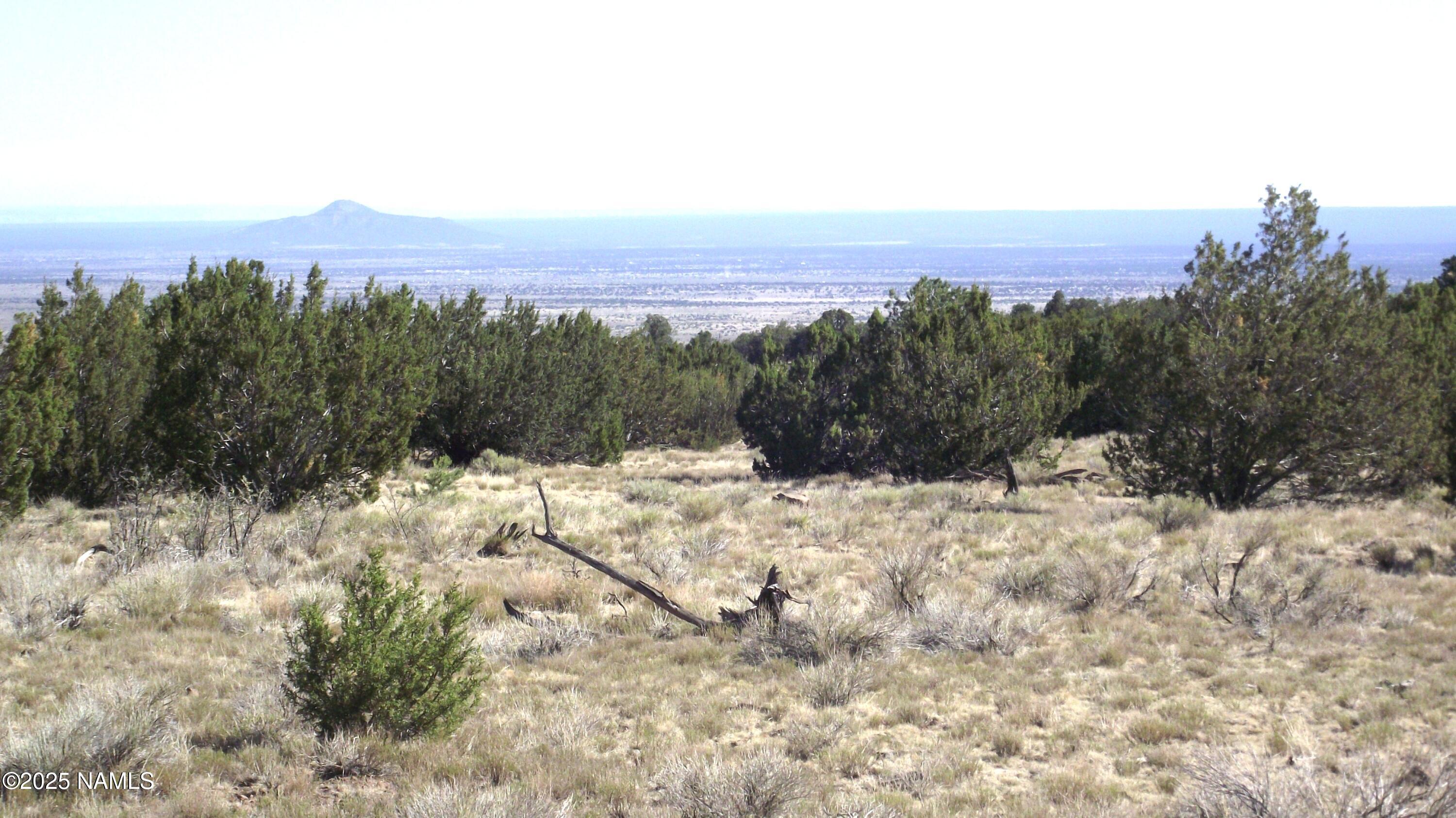 11962 South Mesa View Road Williams, AZ 86046 - Photo 3 of 16 DSCF7641