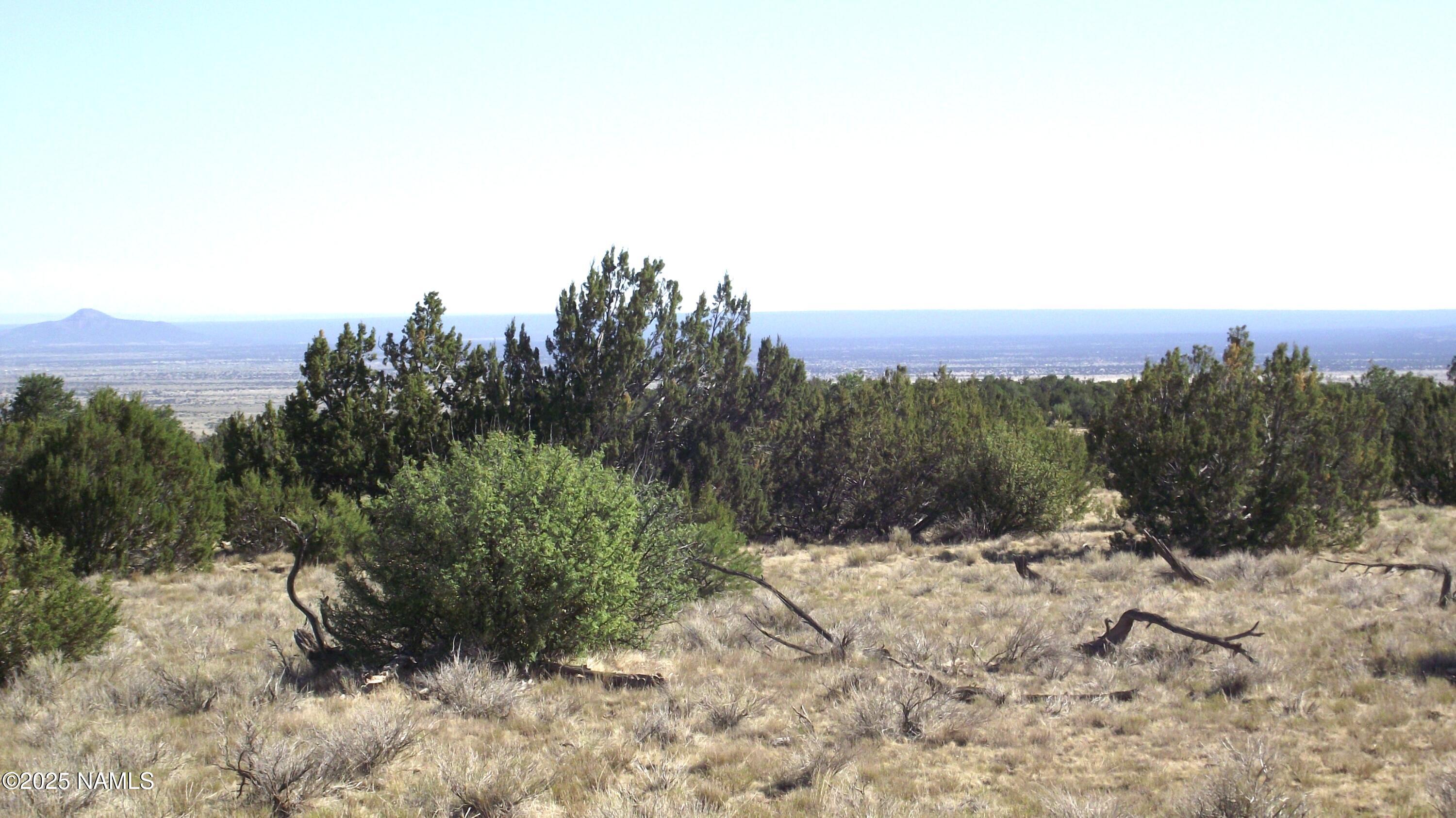 11962 South Mesa View Road Williams, AZ 86046 - Photo 4 of 16 DSCF7635
