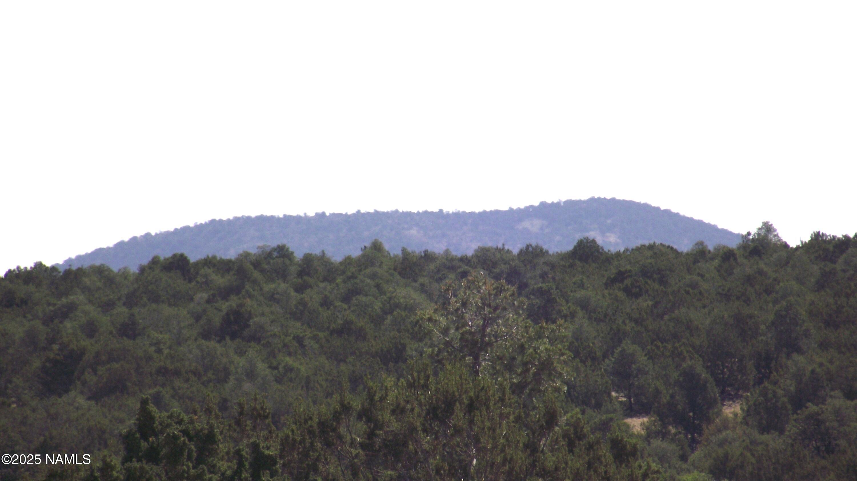 11962 South Mesa View Road Williams, AZ 86046 - Photo 6 of 16 DSCF7624