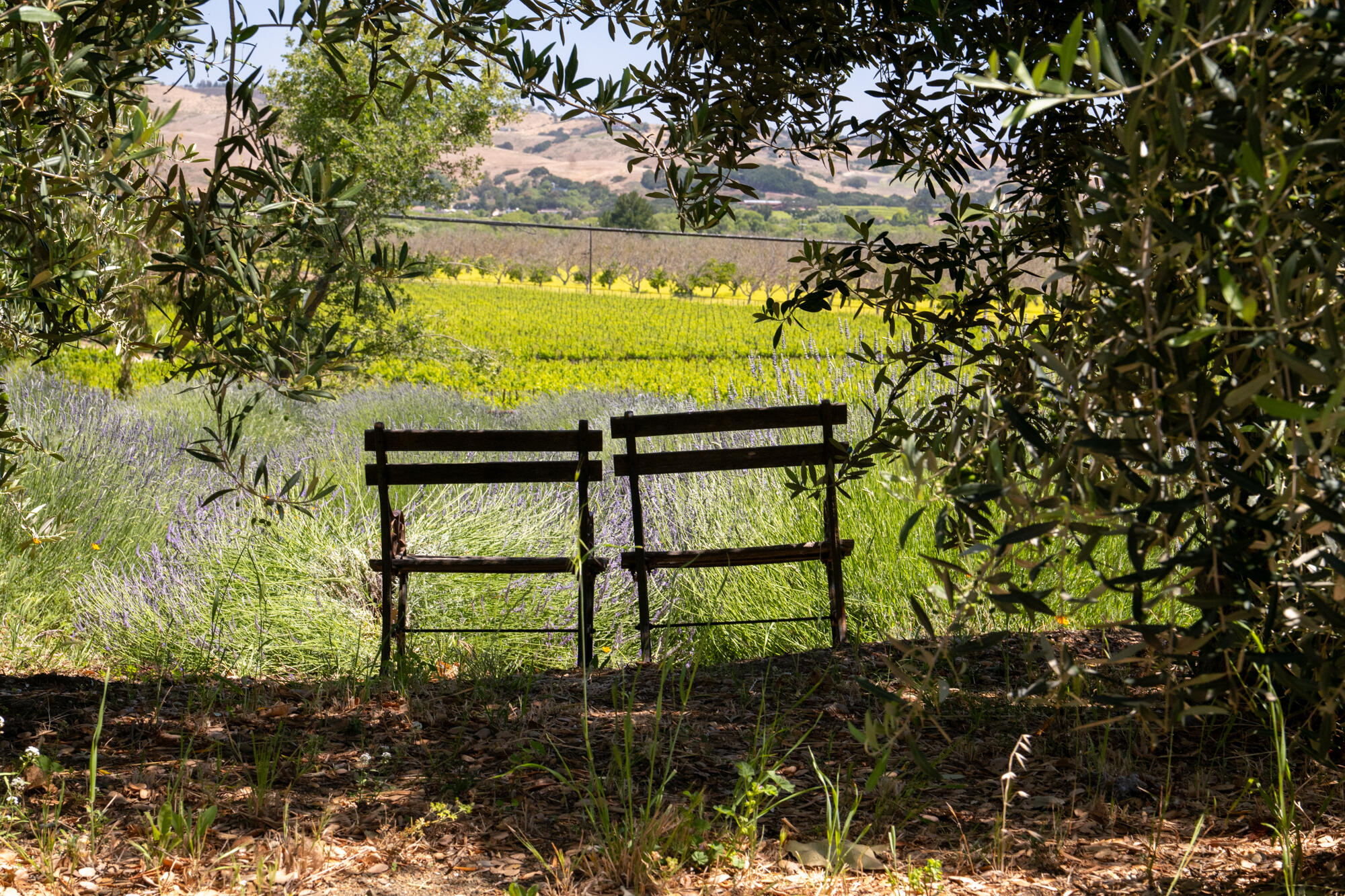 8630 Santa Rosa Road Buellton, CA 93427 - Photo 46 of 57 46