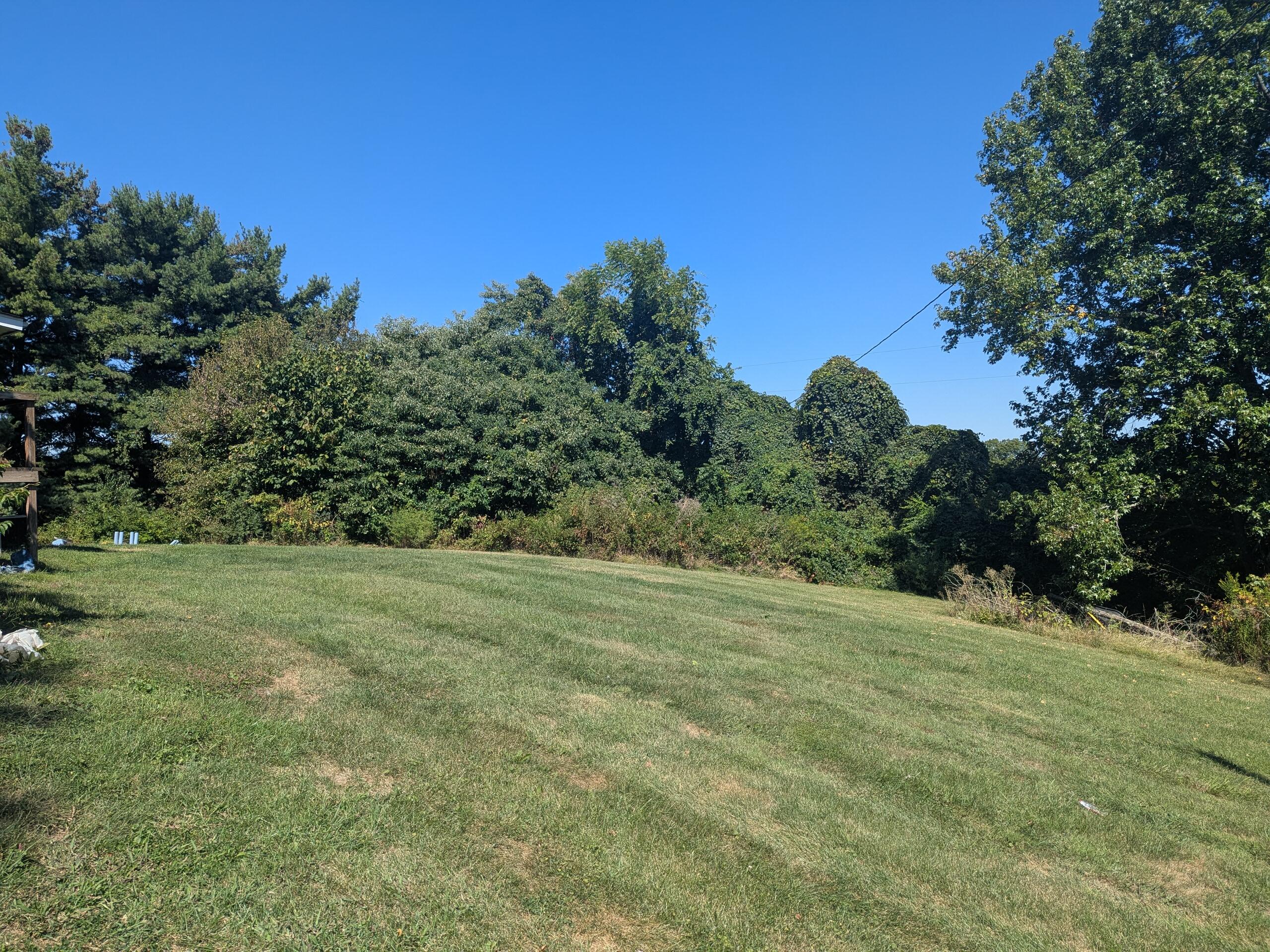 2945 Eagle Hill Road Glencoe, KY 41046 - Photo 6 of 27