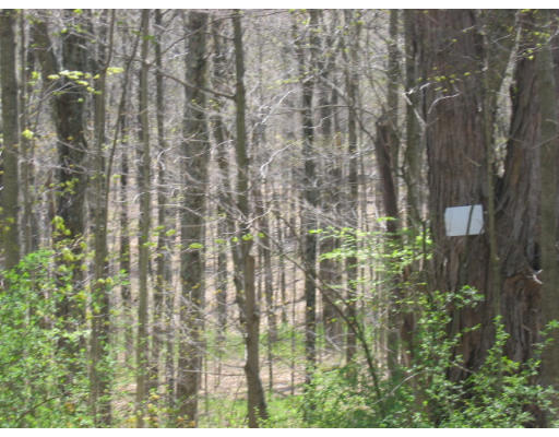 11 South Road Hampden, MA 01036 - Photo 1 of 1