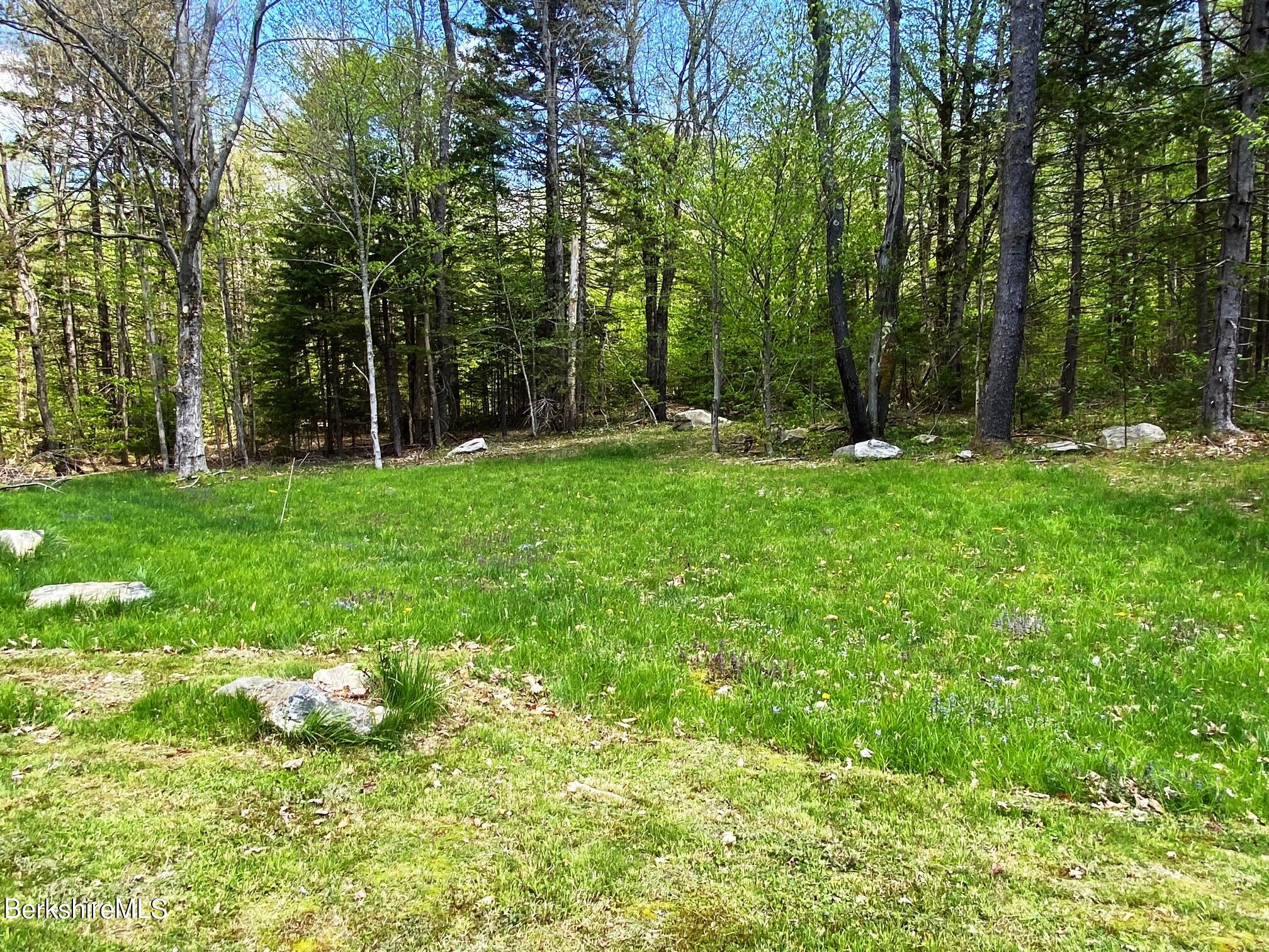 24 Andes Road Peru, MA 01235 - Photo 11 of 56 a backyard of a house with lots of green space