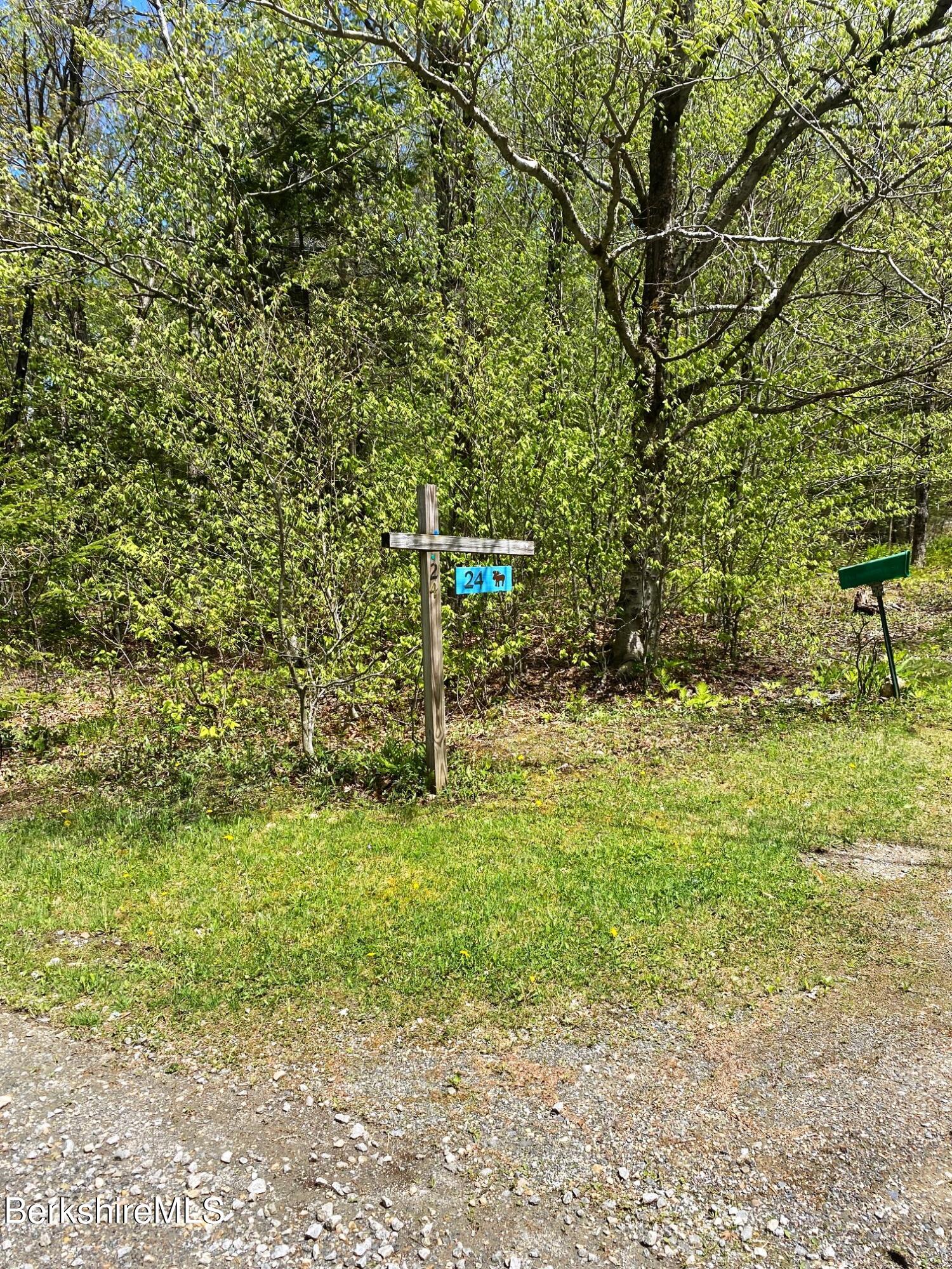 24 Andes Road Peru, MA 01235 - Photo 14 of 56 a view of a yard with trees