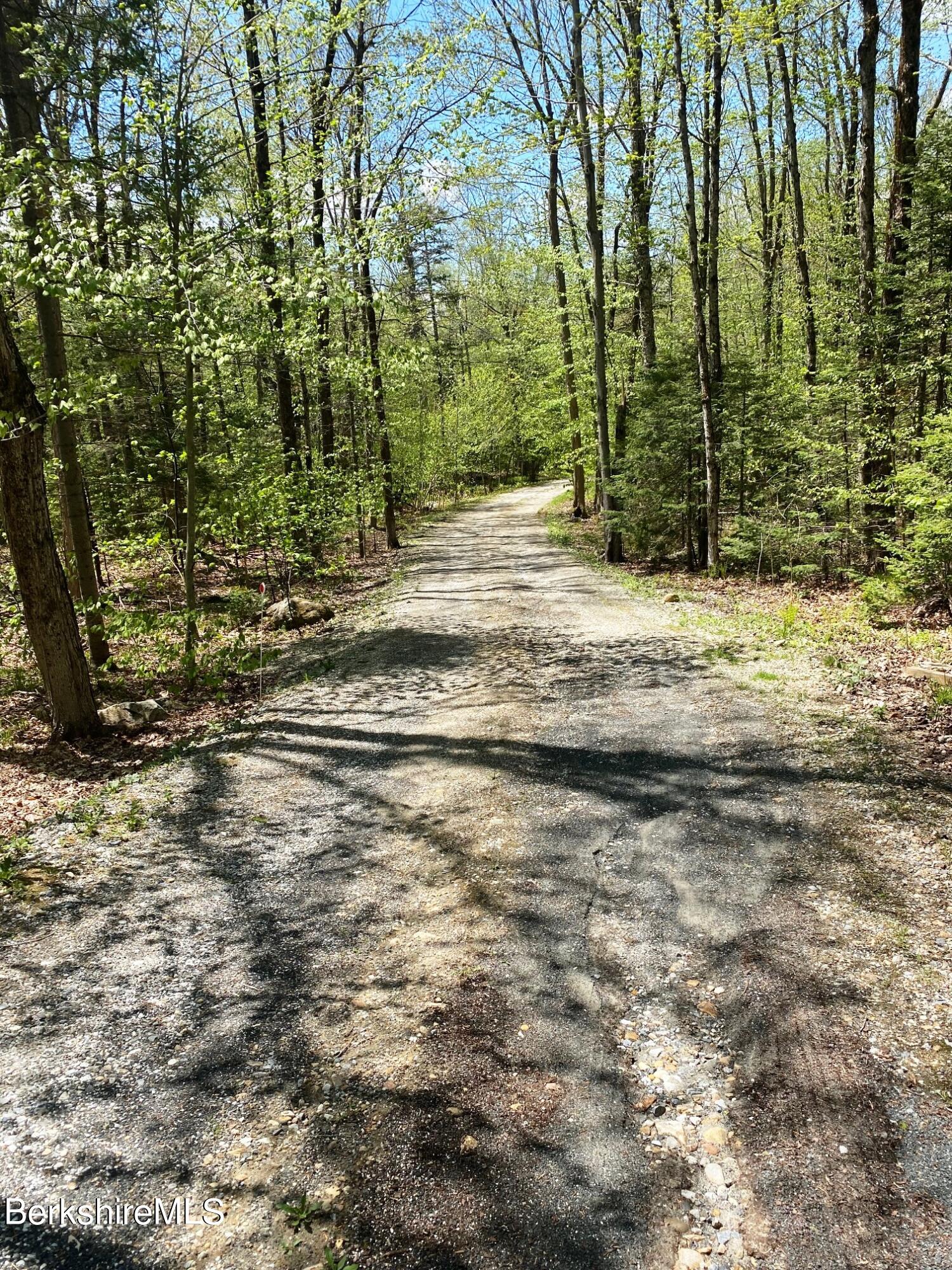 24 Andes Road Peru, MA 01235 - Photo 7 of 56 a view of a yard with trees