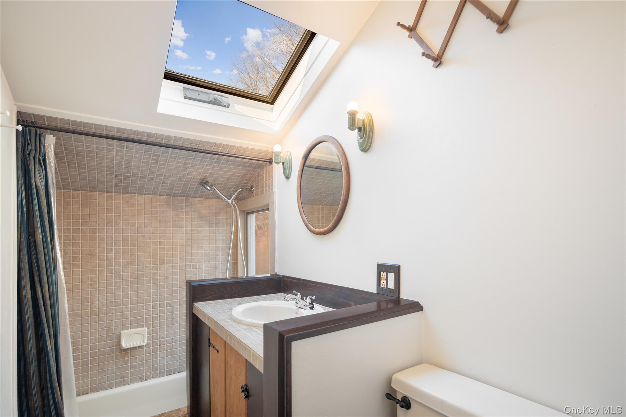 689 South Mountain Road New City, NY 10956 - Photo 10 of 28 a bathroom with a sink a toilet and a mirror