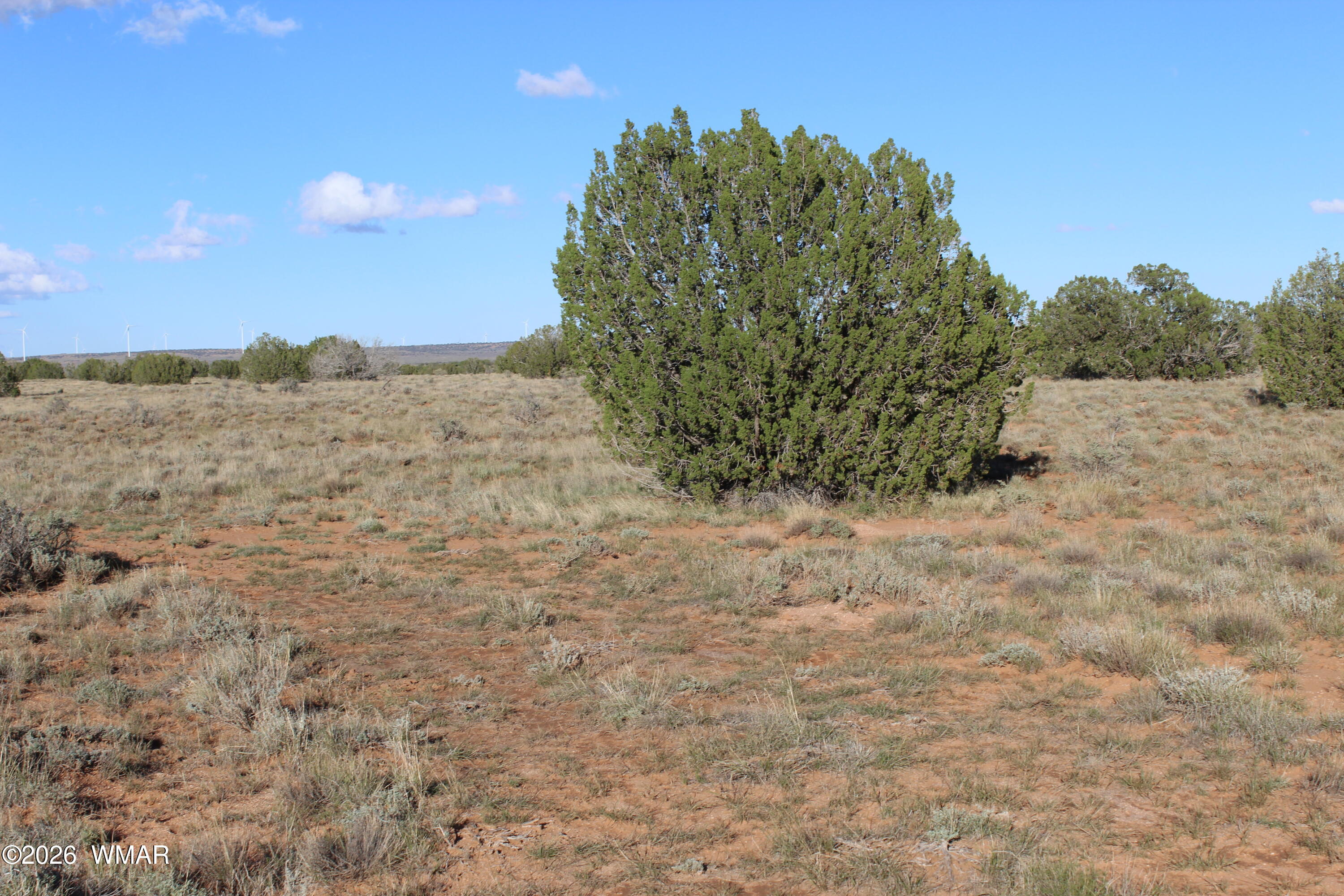 3 T14n R17e:se4 Heber, AZ 85928 - Photo 3 of 4 3