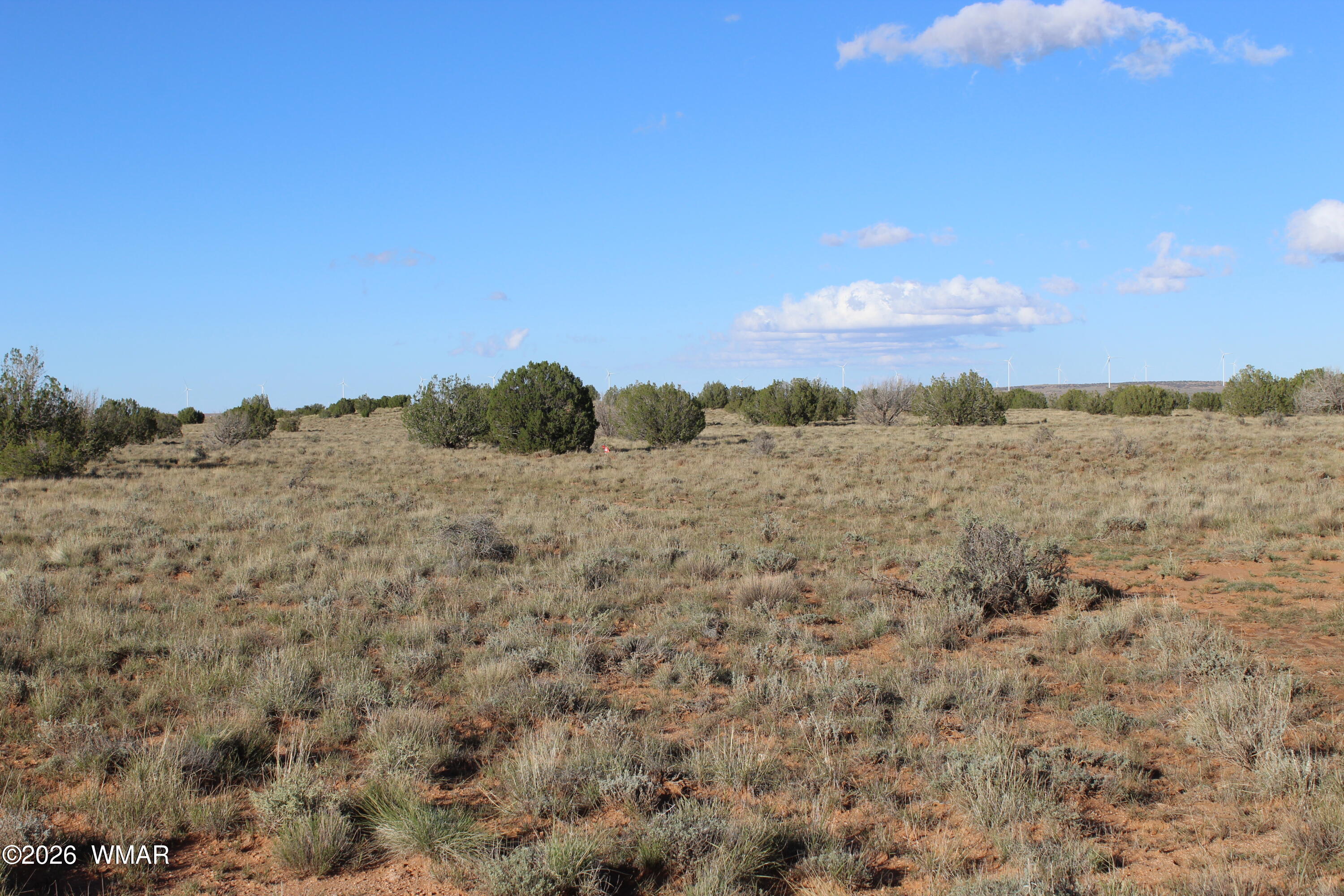 3 T14n R17e:se4 Heber, AZ 85928 - Photo 4 of 4 4