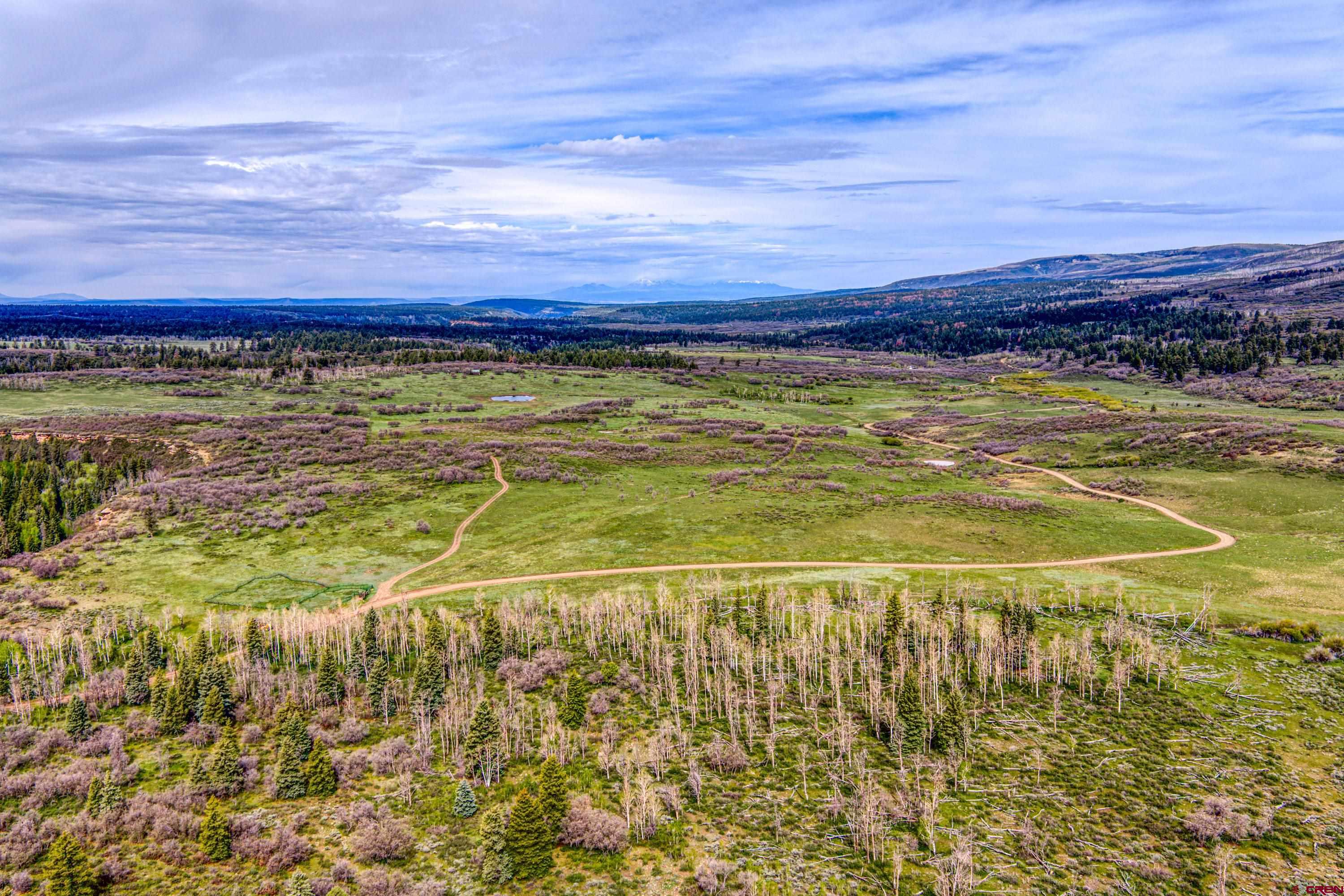 Tbd Hanks Valley Road Montrose, CO 81403 - Photo 41 of 45