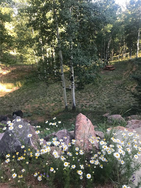 286 Ridge Road Divide, CO 80814 - Photo 20 of 27