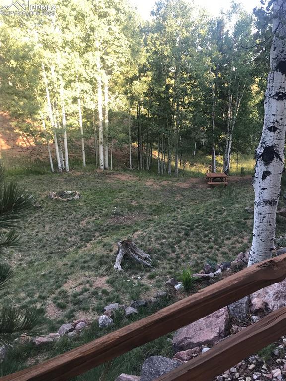 286 Ridge Road Divide, CO 80814 - Photo 27 of 27 a view of a yard with large trees